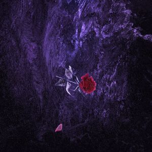 女人和男人三黄一片
